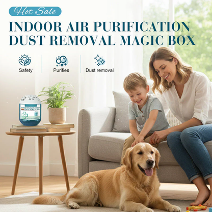 💗2026 New Year · 40% OFF💗Indoor Air Purification Dust Removal Magic Box🏠🌿